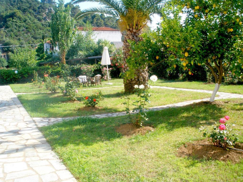 Afroditi Panormos  Экстерьер фото